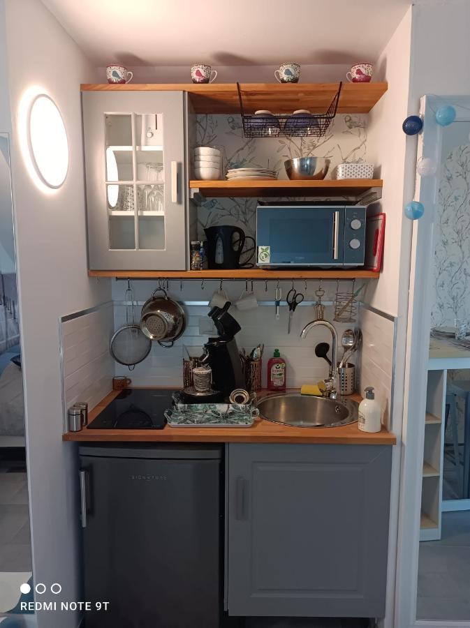 Très beau studio Trois Etoiles, WiFi, Parking Privé Jardin Montargis Exterior foto
