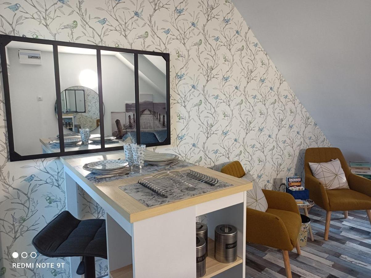 Très beau studio Trois Etoiles, WiFi, Parking Privé Jardin Montargis Exterior foto